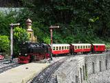 2008_08_28_15_36IMG_1653.jpg