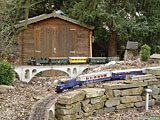 DSC09117.jpg