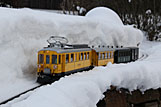 IMG_7288.jpg