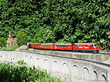 DSC08447.jpg