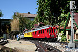 IMG_7356_2.jpg