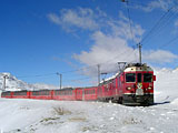 DSC07586.jpg