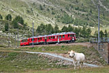 IMG_5952_2.jpg