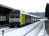 19DSC09969.jpg
