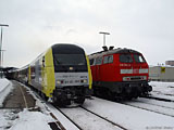22DSC09979.jpg