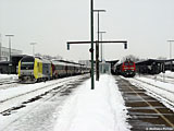 28DSC00010.jpg