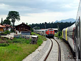 52DSC03718.jpg