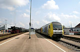 IMG_2810_2.jpg