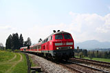 IMG_2833_2.jpg