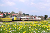 IMG_2865_2.jpg