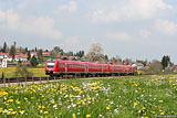 IMG_2875_2.jpg