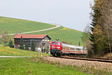 IMG_2899.jpg