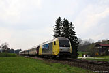 IMG_2909_2.jpg