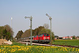 IMG_2938_2.jpg