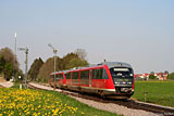 IMG_2952_2.jpg