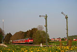IMG_2971_2.jpg