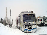 DSC07637_2.jpg