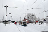 IMG_1035_2.jpg