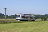 IMG_3636_2.jpg