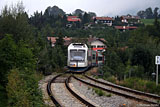IMG_7965_2.jpg