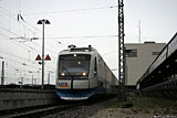 IMG_8246_2.jpg