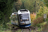 IMG_8320_2.jpg