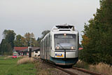 IMG_8419_2.jpg