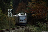 IMG_8576.jpg