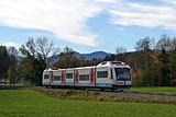 IMG_8649_2.jpg