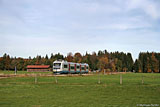 IMG_8653_2.jpg