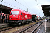 IMG_3789_2.jpg