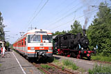 IMG_3993_2.jpg