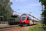 IMG_4118_2.jpg