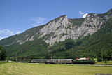 IMG_4205.jpg