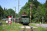 IMG_4250_2.jpg