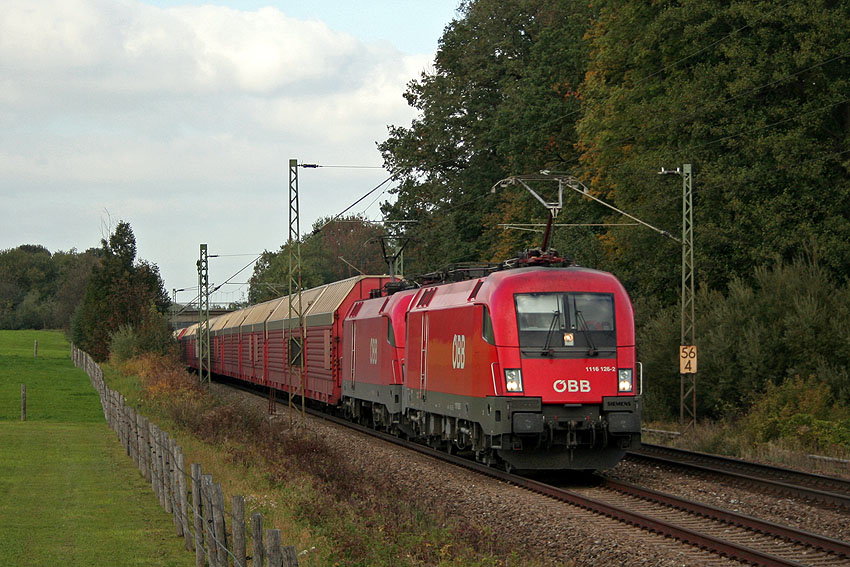 IMG_8433_2.jpg