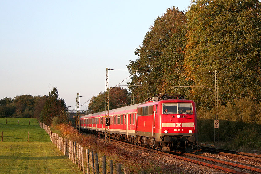 IMG_8516_2.jpg