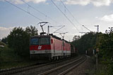 IMG_8436_2.jpg