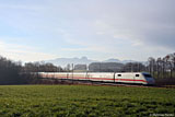 IMG_8847.jpg