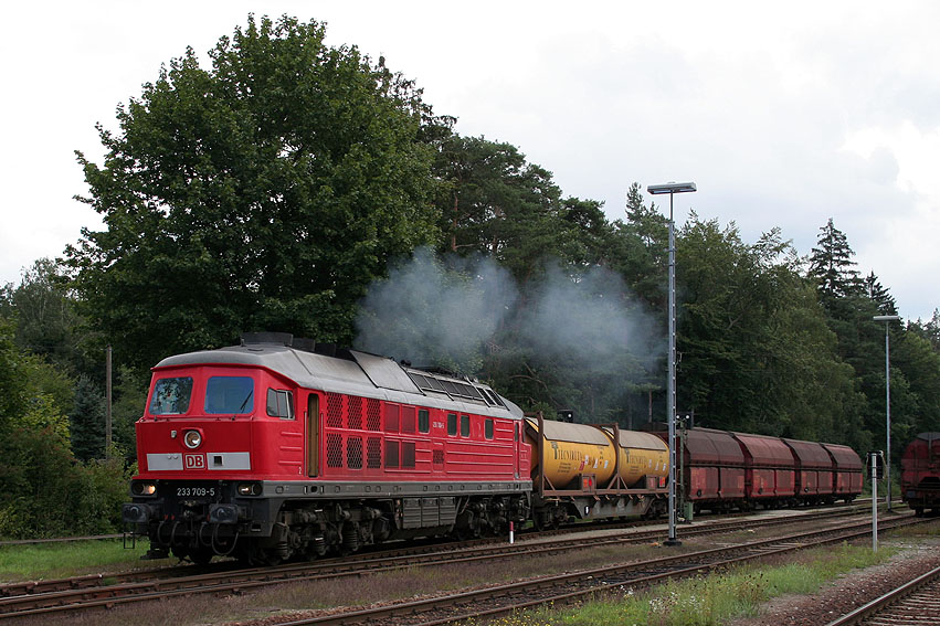 IMG_6808_2.jpg