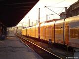 DSC00298_2.jpg