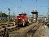DSC06624.jpg