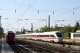 IMG_1781_2.jpg