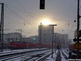 DSC09434.jpg