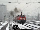 DSC09440.jpg