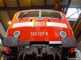 DSC05418_2.jpg