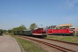 IMG_4816_2.jpg